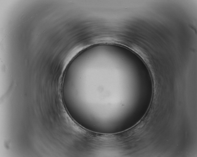 X0000103241392200809041037