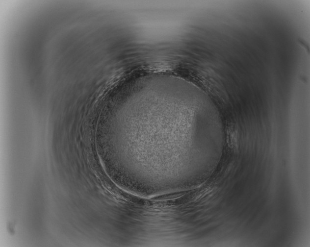 X0000103241393200809041036