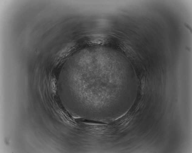 X0000103241394200809041036