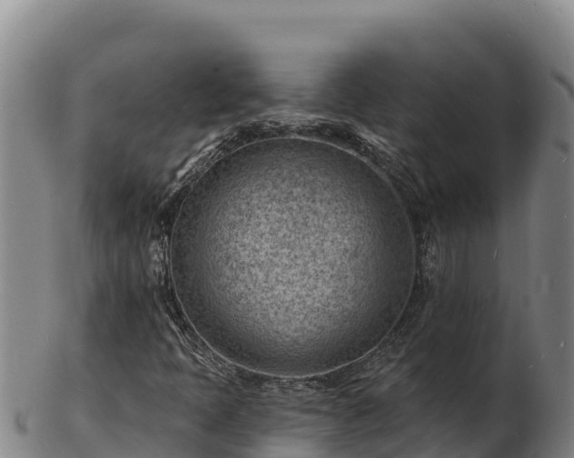 X0000103241397200809041036