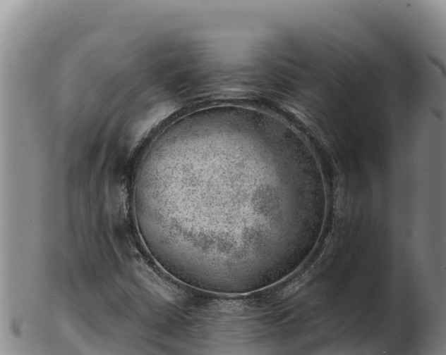 X0000103241402200809041036