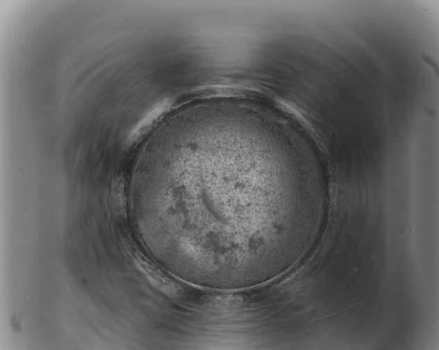X0000103241403200809041036