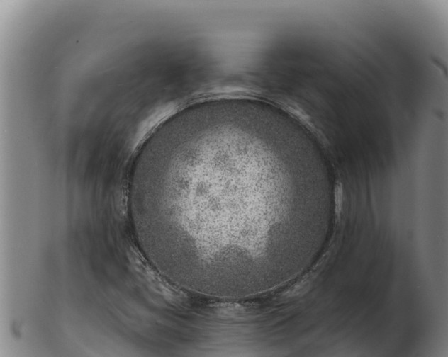 X0000103241405200809041036