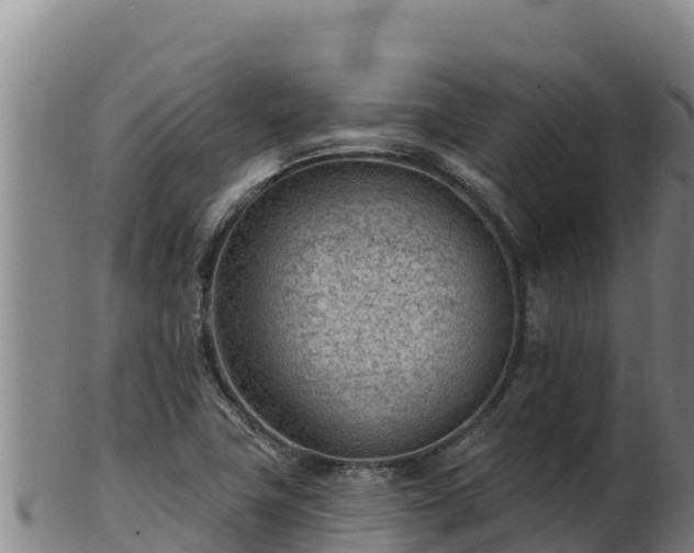 X0000103241411200809041036
