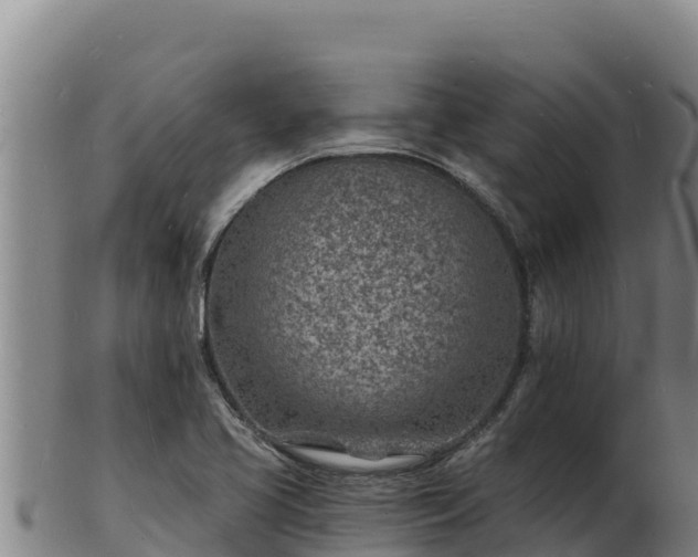 X0000103241413200809041036