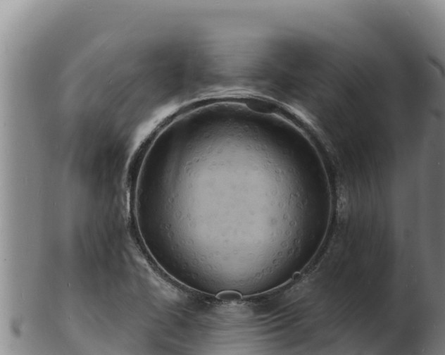 X0000103241414200809041036
