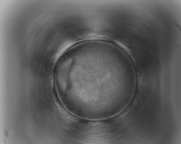 X0000103241415200809041036