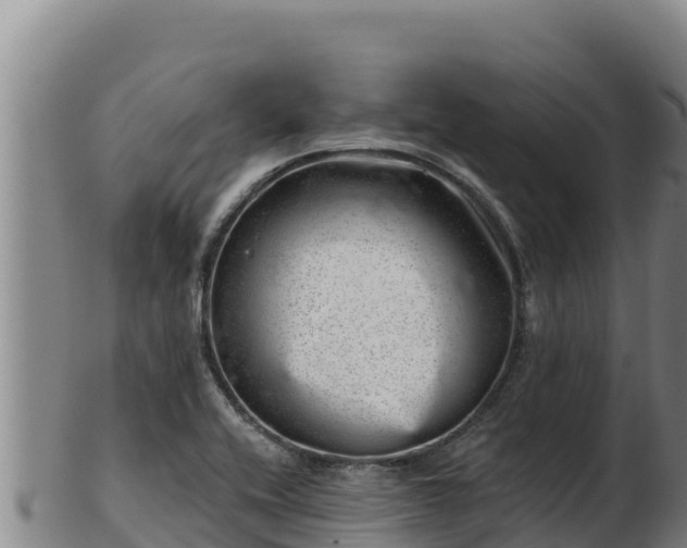 X0000103241416200809041036