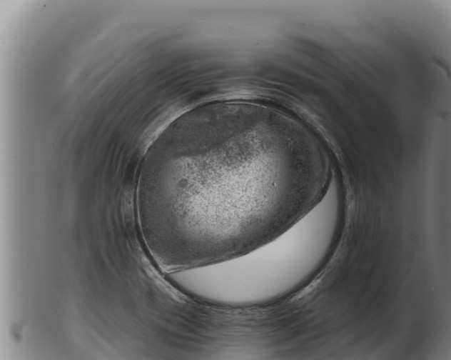 X0000103241417200809041036