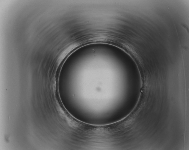 X0000103241418200809041036