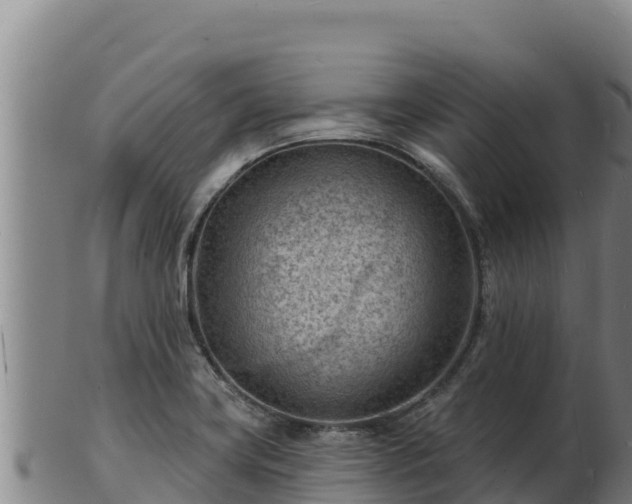 X0000103241419200809041036