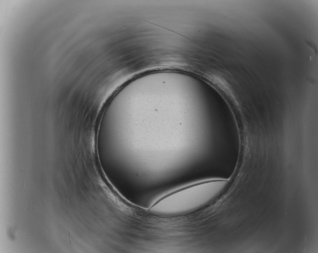 X0000103241420200809041036