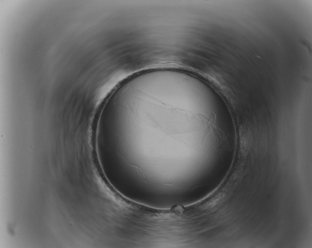 X0000103241422200809041036