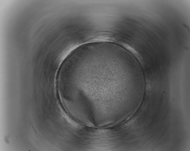 X0000103241423200809041036