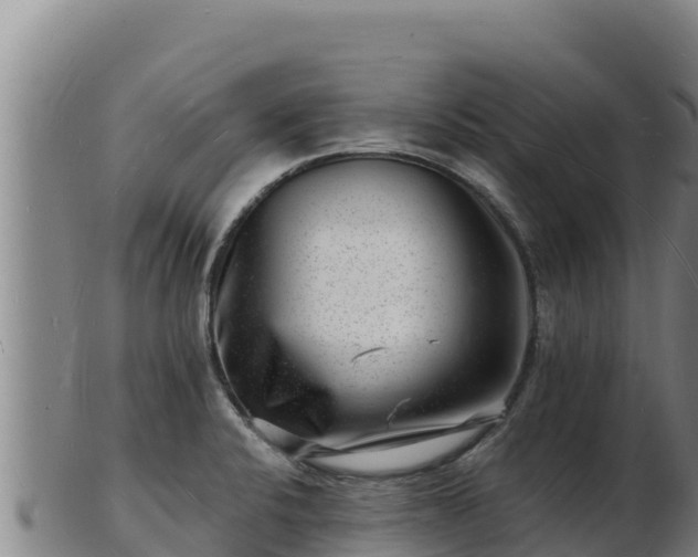 X0000103241424200809041036