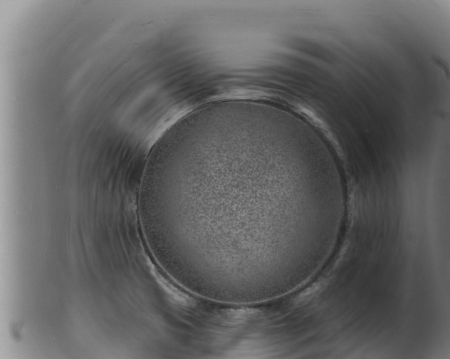 X0000103241425200809041036