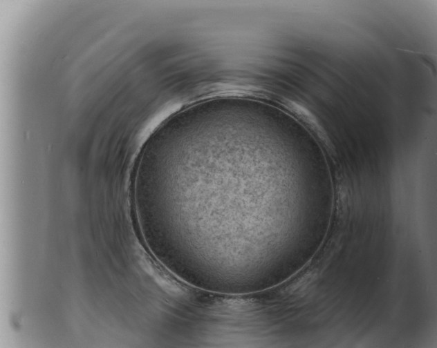 X0000103241427200809041036