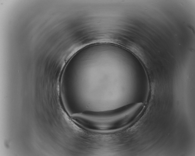 X0000103241428200809041036