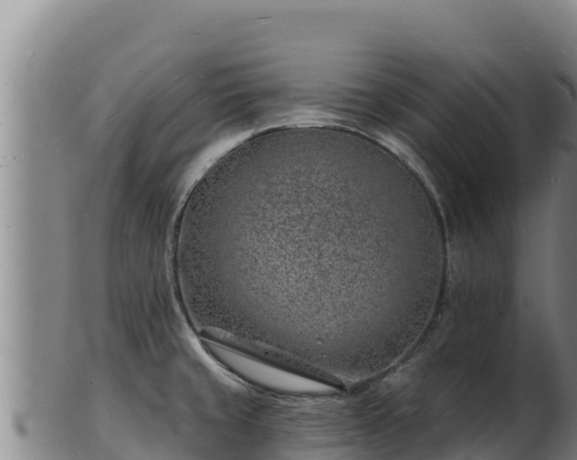 X0000103241429200809041036