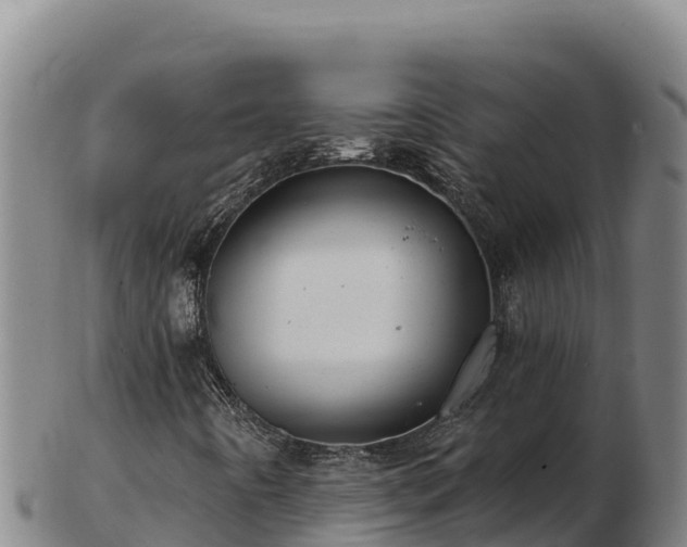 X0000103241442200809041036