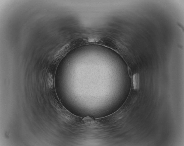 X0000103241443200809041036