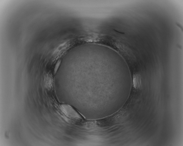 X0000103241444200809041036