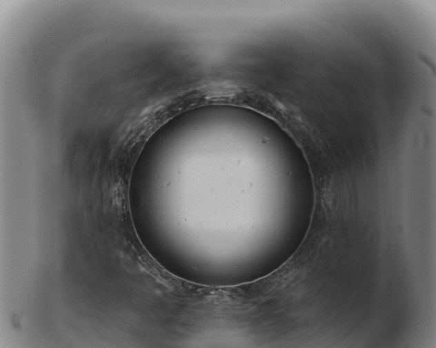 X0000103241445200809041036