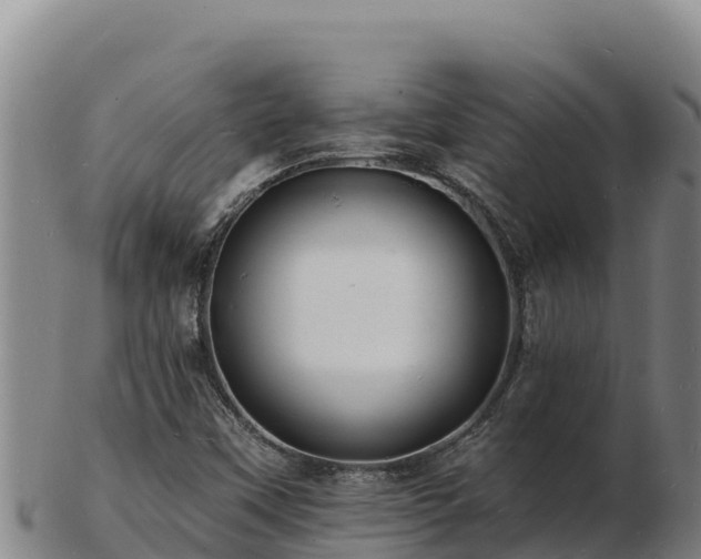 X0000103241451200809041036