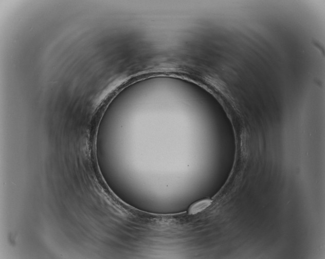X0000103241452200809041036