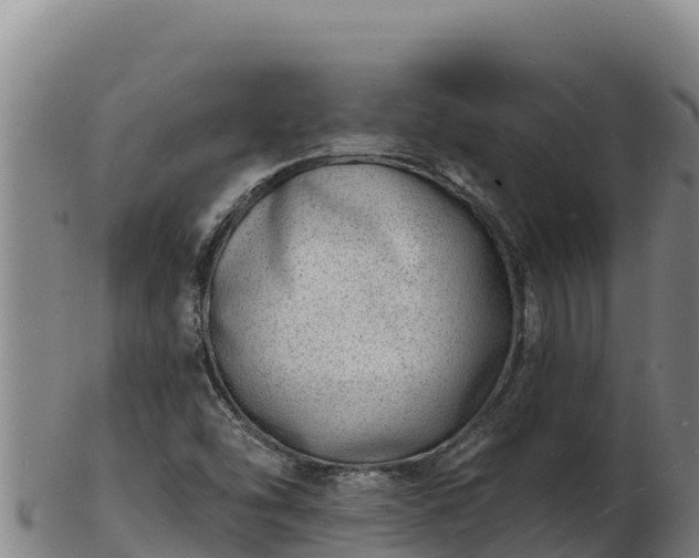 X0000103241454200809041036