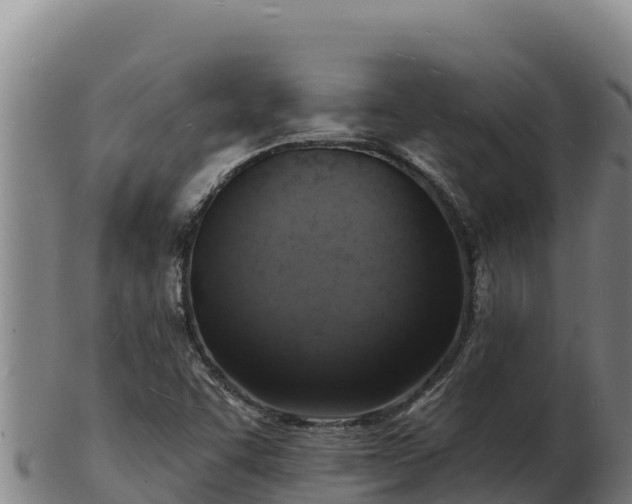 X0000103241455200809041036