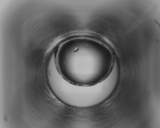 X0000103241456200809041036
