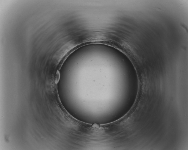 X0000103241457200809041036