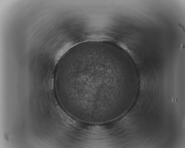 X0000103241459200809041036