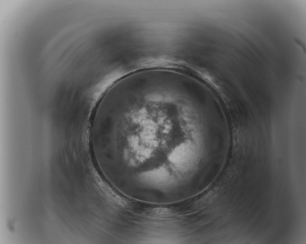 X0000103241463200809041036