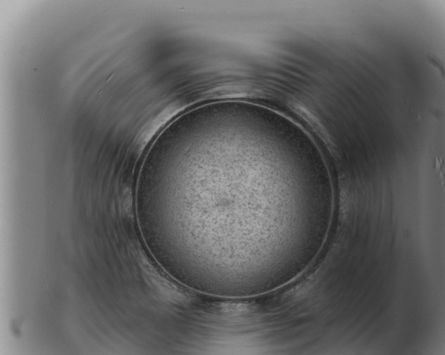 X0000103241465200809041036