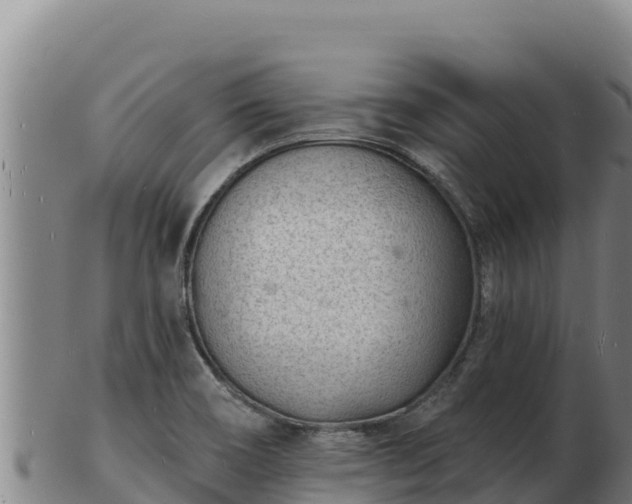 X0000103241466200809041036