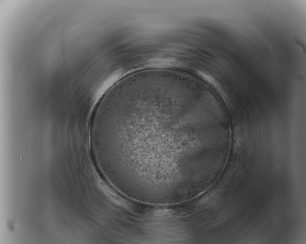 X0000103241467200809041036
