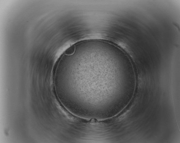 X0000103241469200809041036
