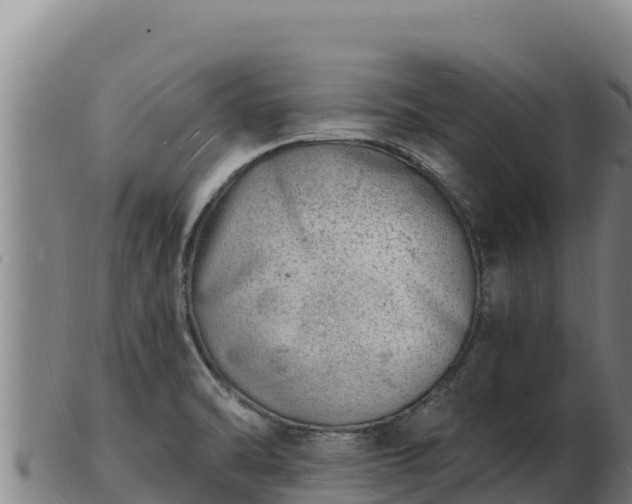 X0000103241470200809041036