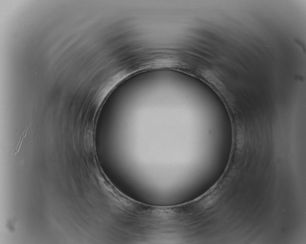 X0000103241473200809041036