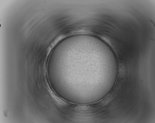 X0000103241474200809041036
