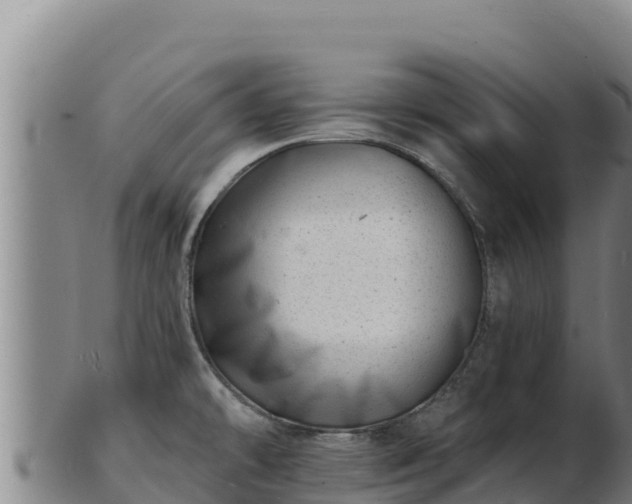 X0000103241478200809041035