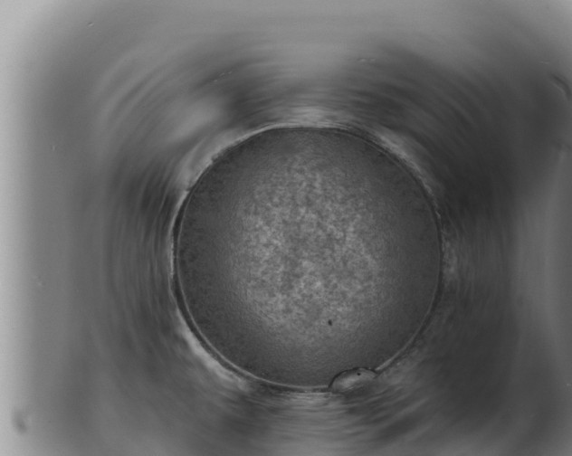 X0000103241479200809041035