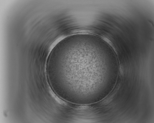 X0000103241482200809041035