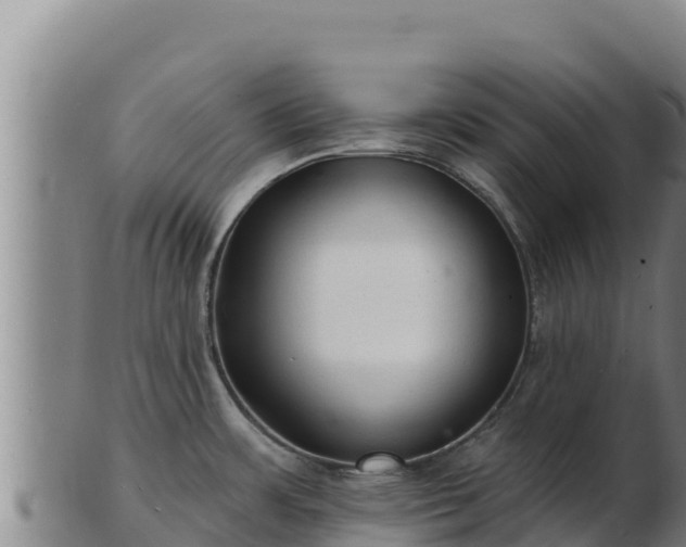 X0000103241483200809041035