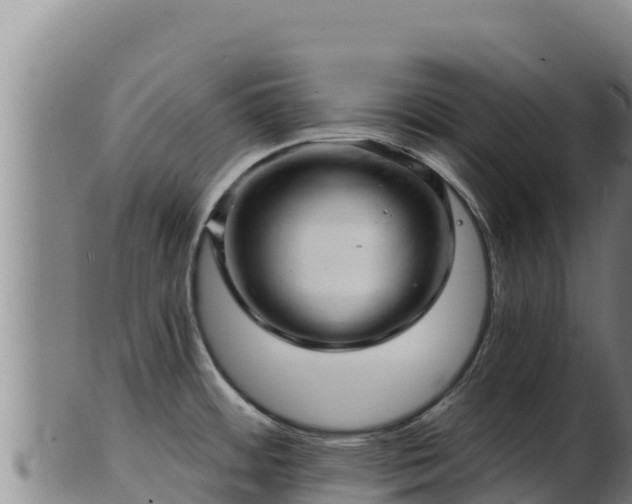 X0000103241484200809041035