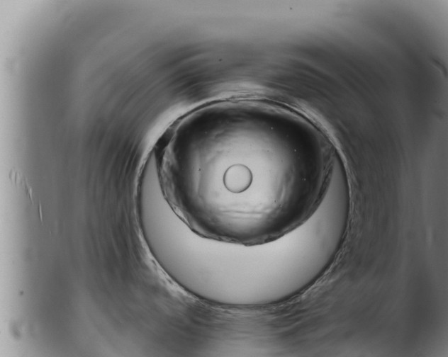 X0000103241488200809041035