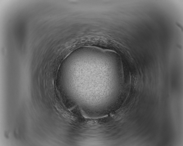X0000103241489200809041035