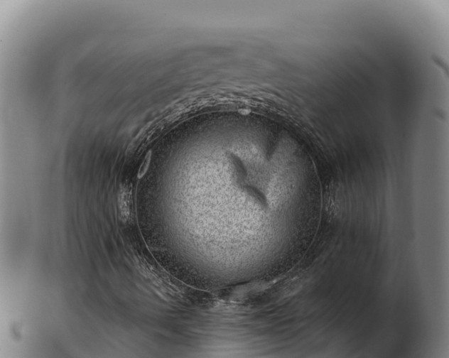 X0000103241490200809041035